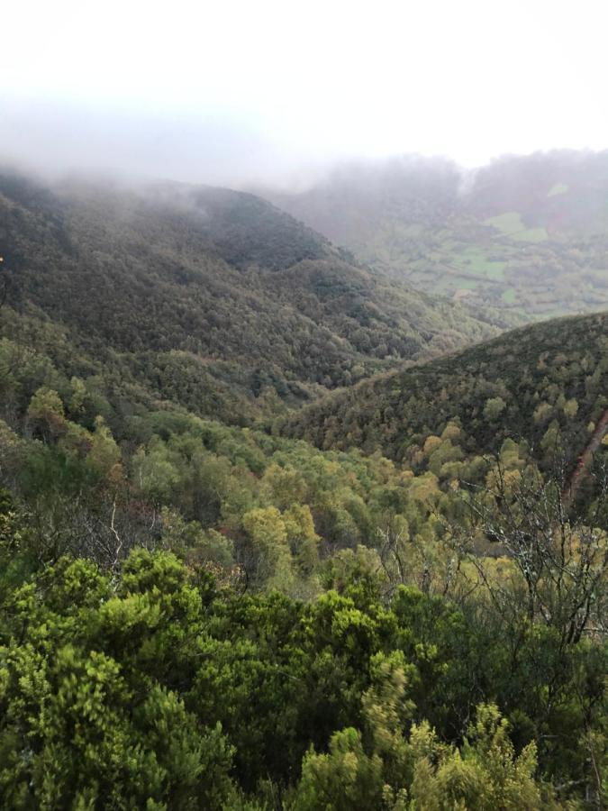 شقة A Barreira -Lar Da Cima- Folgoso do Courel المظهر الخارجي الصورة